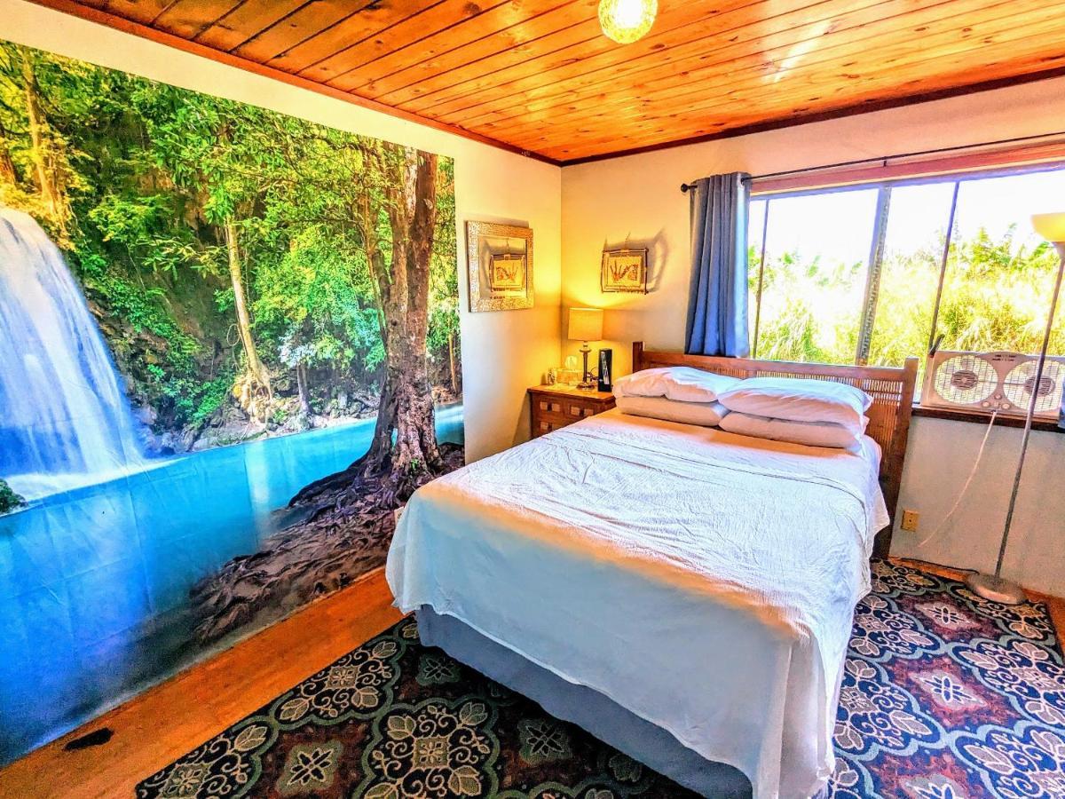 Hamakua Guesthouse Pepeekeo Dış mekan fotoğraf