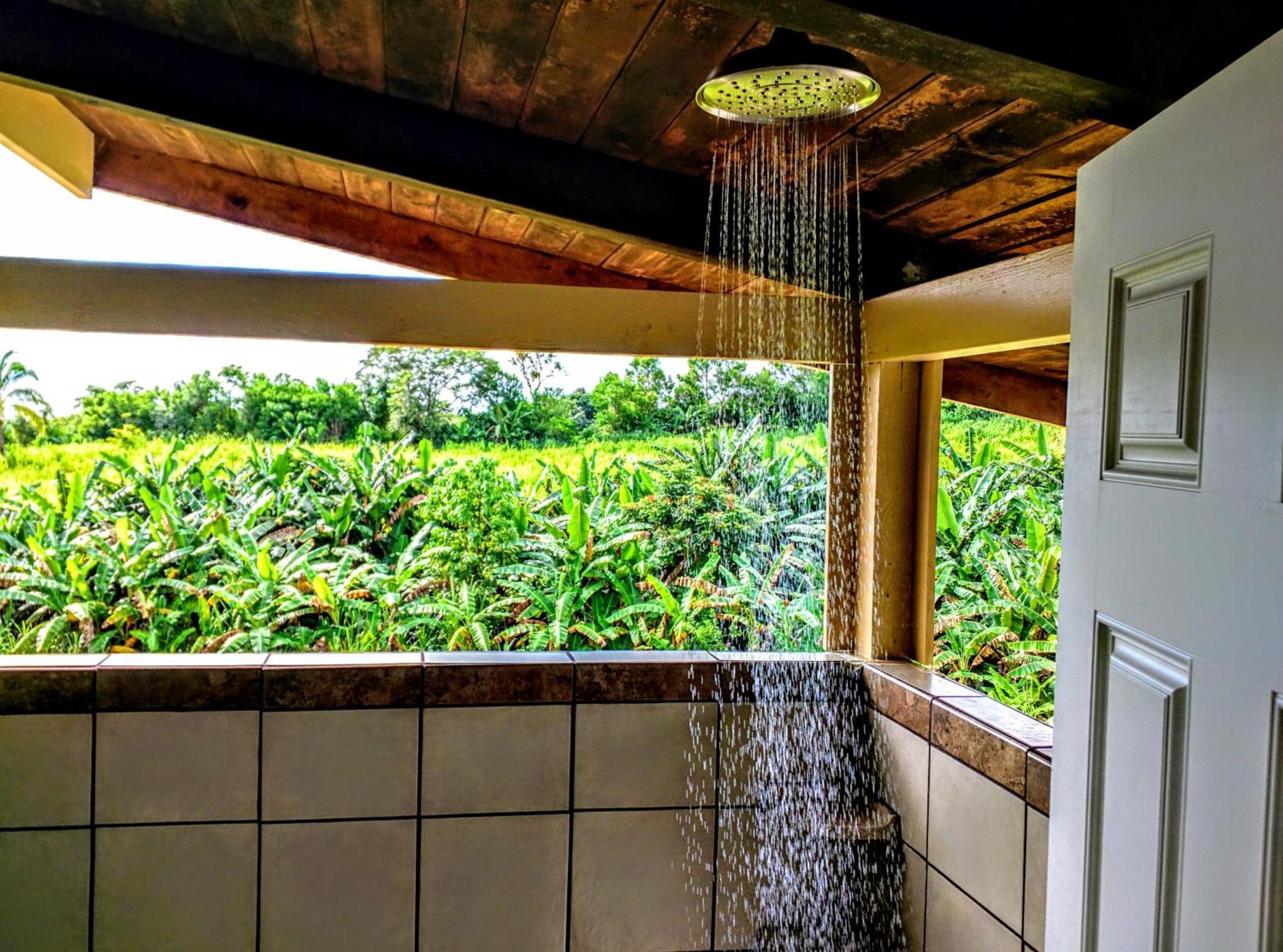 Hamakua Guesthouse Pepeekeo Dış mekan fotoğraf