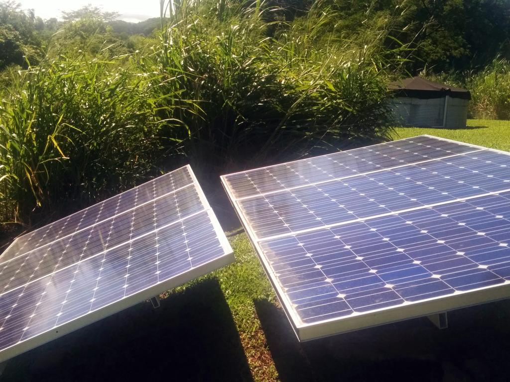 Hamakua Guesthouse Pepeekeo Dış mekan fotoğraf