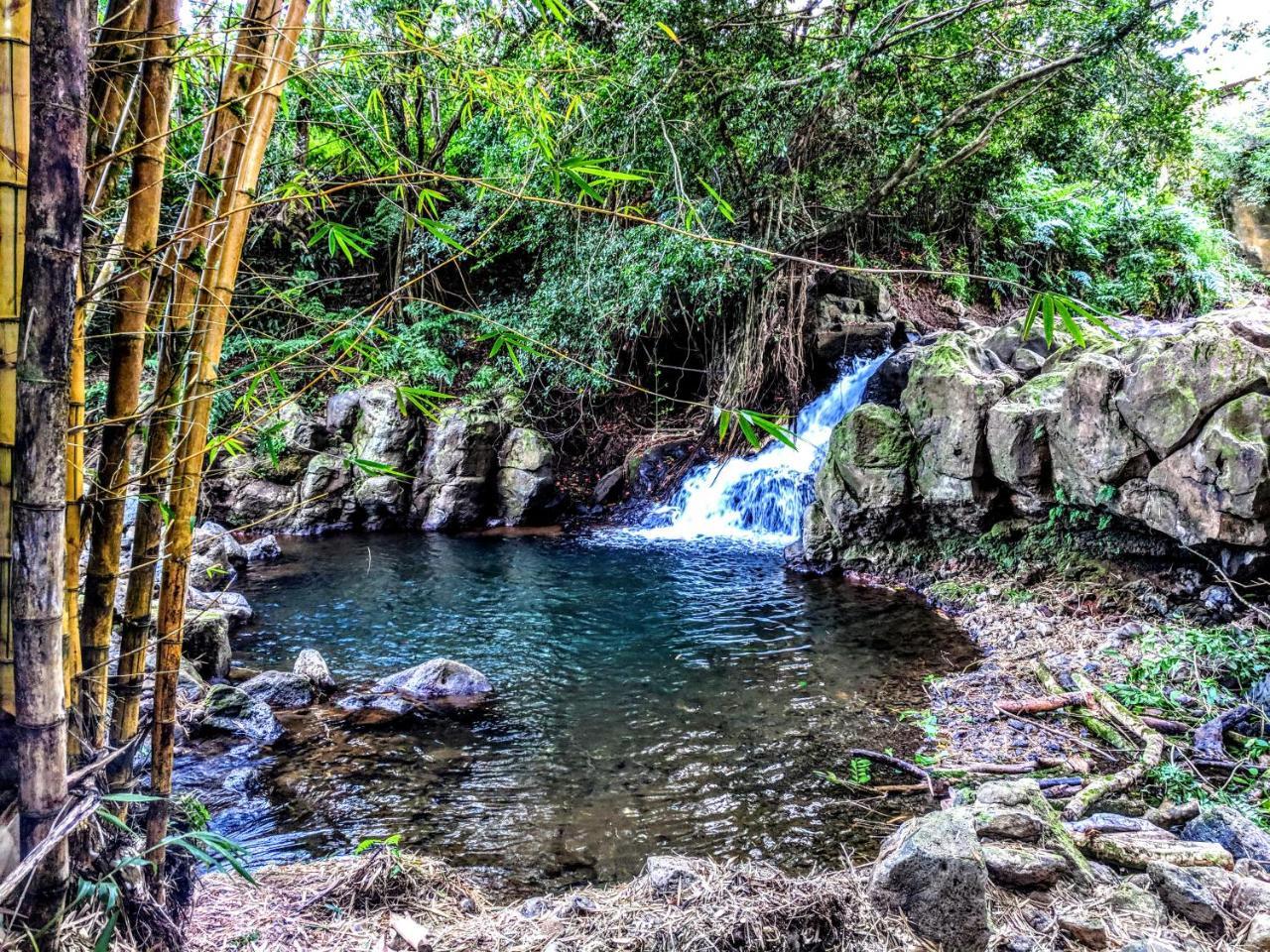 Hamakua Guesthouse Pepeekeo Dış mekan fotoğraf